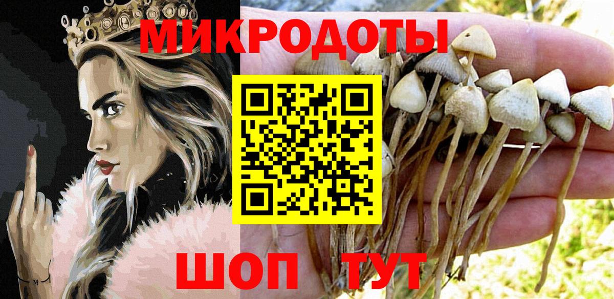 Псилоцибиновые грибы прущие грибы  Вход с VPN  Майкоп 