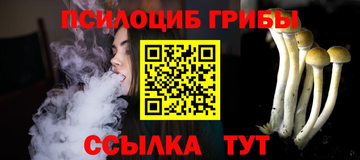 Галлюциногенные грибы Psilocybe Майкоп